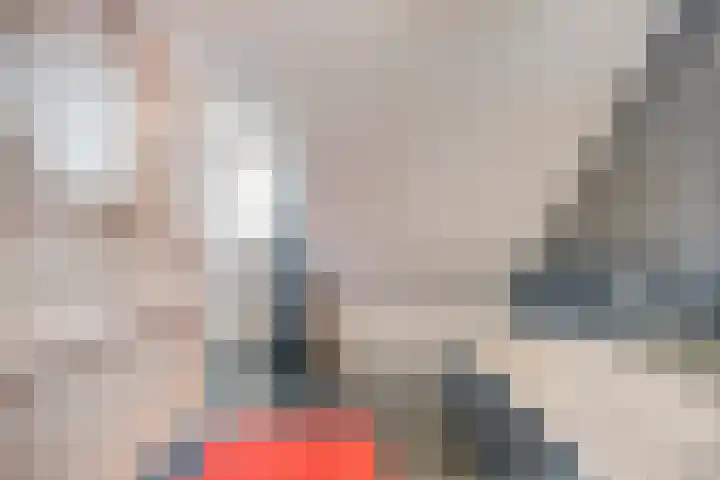 Robijnborch 9 Rosmalen thumbnail 19