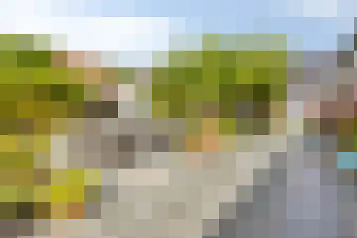 Robijnborch 9 Rosmalen thumbnail 28