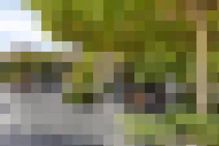 Robijnborch 9 Rosmalen thumbnail 29