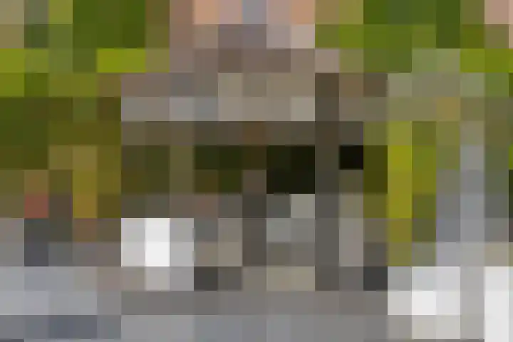 Robijnborch 9 Rosmalen thumbnail 30