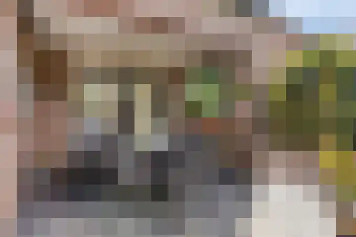 Robijnborch 9 Rosmalen thumbnail 31