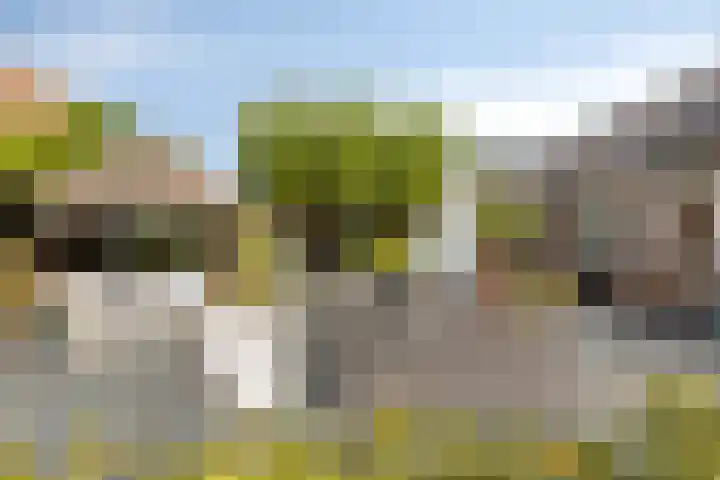 Robijnborch 9 Rosmalen thumbnail 32