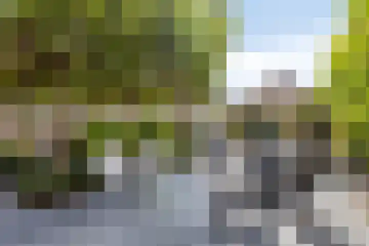 Robijnborch 9 Rosmalen thumbnail 33