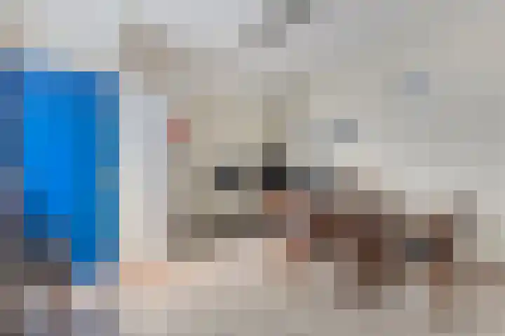 Robijnborch 9 Rosmalen thumbnail 39
