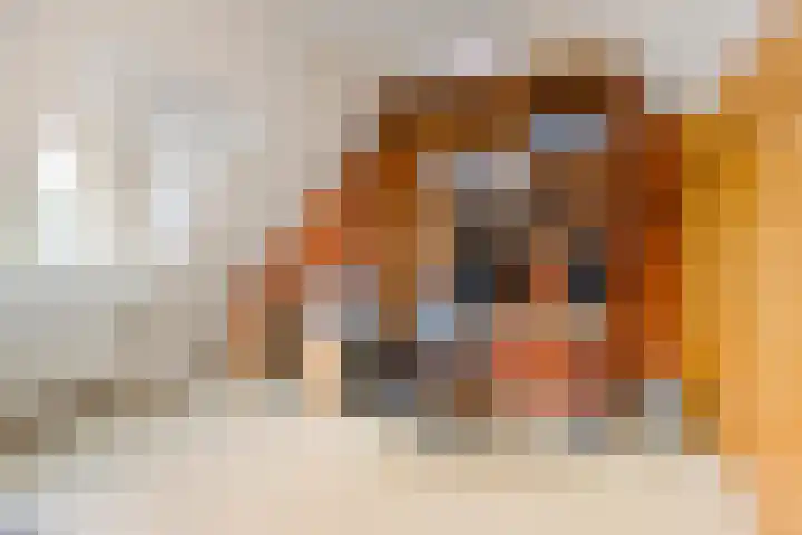 Robijnborch 9 Rosmalen thumbnail 41