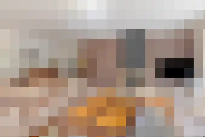 Robijnborch 9 Rosmalen thumbnail 6
