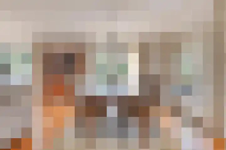 Robijnborch 9 Rosmalen thumbnail 7