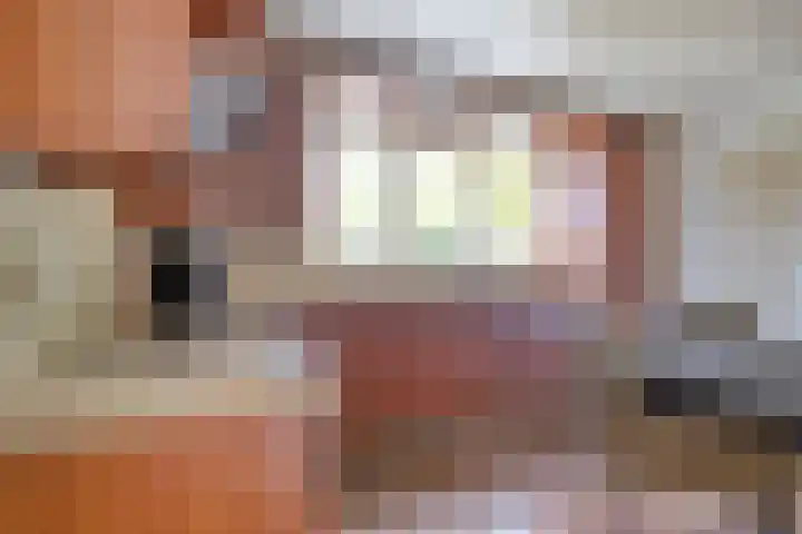 Robijnborch 9 Rosmalen thumbnail 8