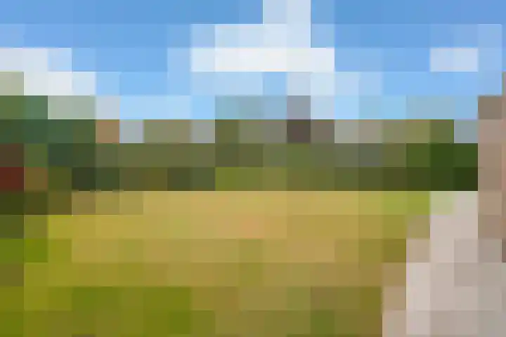 Robijndijk 165 Roosendaal thumbnail 38