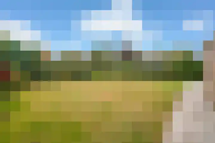 Robijndijk 165 Roosendaal thumbnail 5