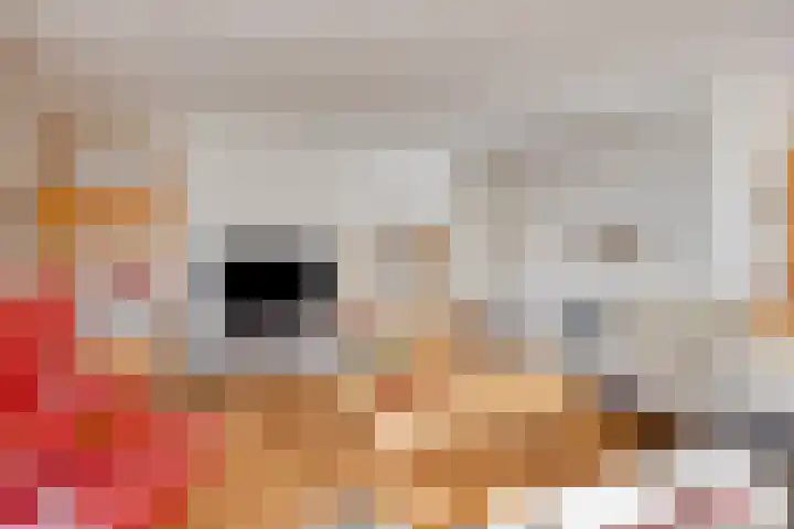 Robijndreef 16 Emmen thumbnail 11
