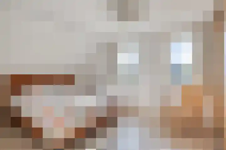 Robijndreef 16 Emmen thumbnail 23