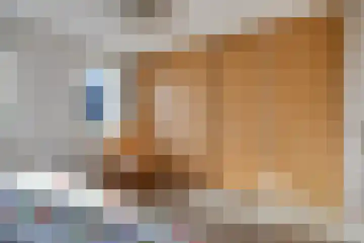 Robijndreef 16 Emmen thumbnail 24