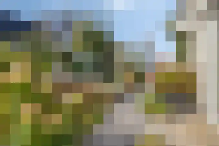 Robijndreef 16 Emmen thumbnail 34
