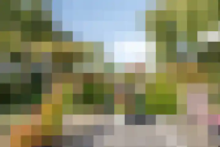 Robijndreef 16 Emmen thumbnail 35