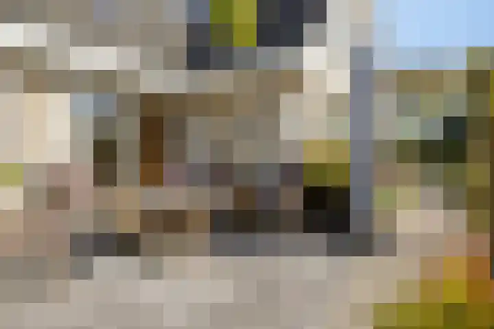 Robijndreef 16 Emmen thumbnail 36