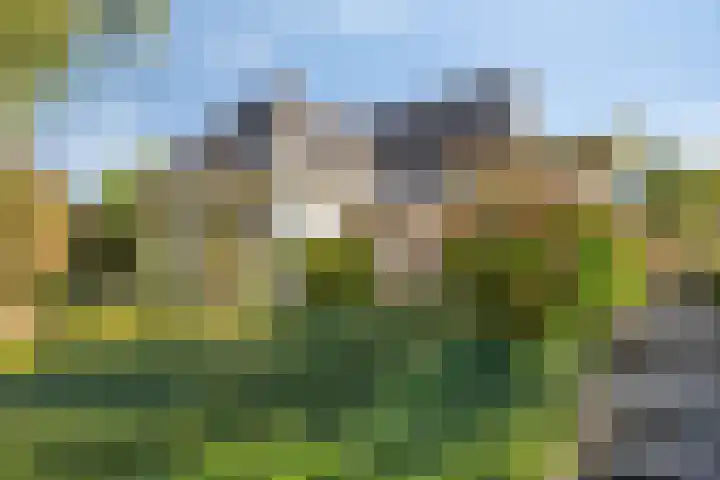 Robijndreef 16 Emmen thumbnail 37