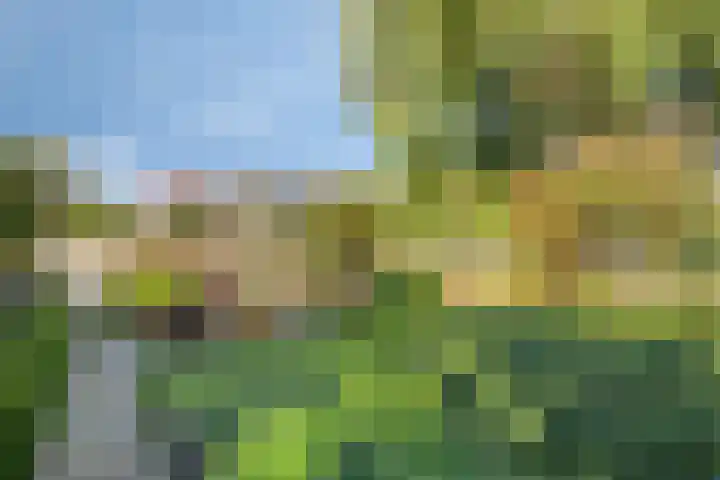 Robijndreef 16 Emmen thumbnail 38