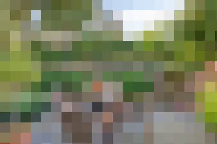 Robijndreef 16 Emmen thumbnail 39