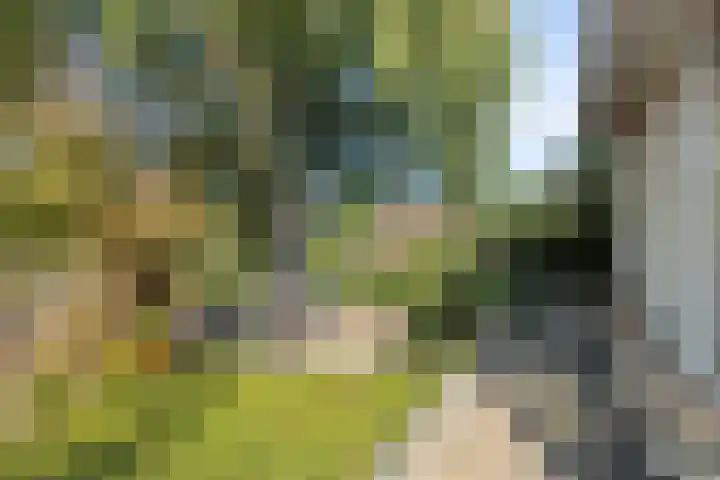 Robijndreef 16 Emmen thumbnail 41