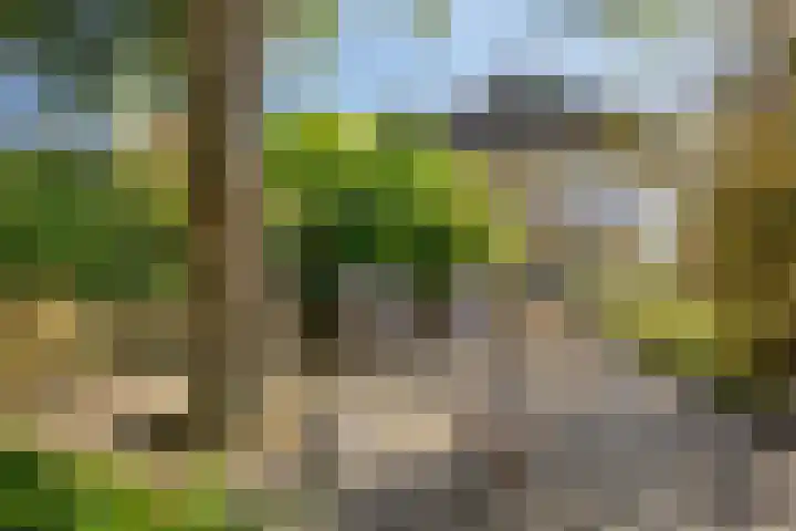 Robijndreef 16 Emmen thumbnail 42