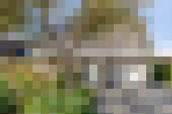 Robijndreef 16 Emmen thumbnail 6
