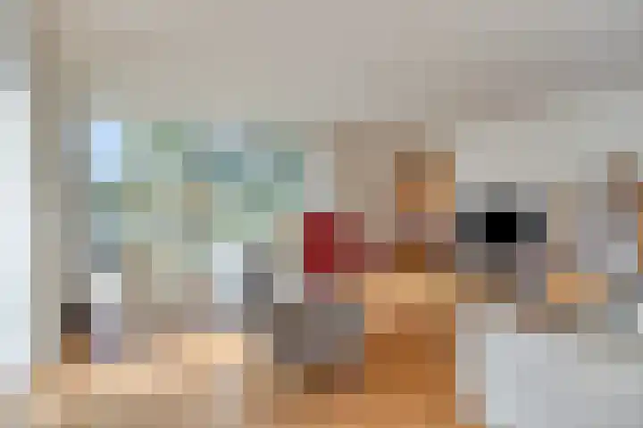 Robijndreef 16 Emmen thumbnail 8