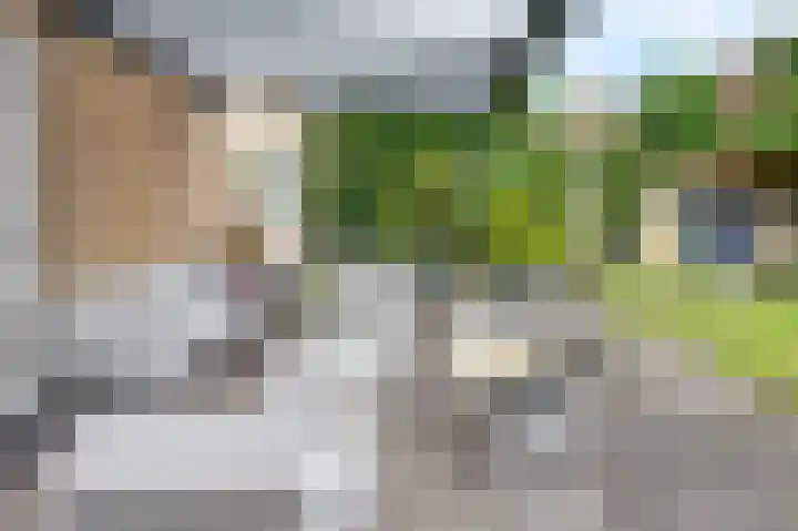 Robijndreef 17 Emmen thumbnail 26