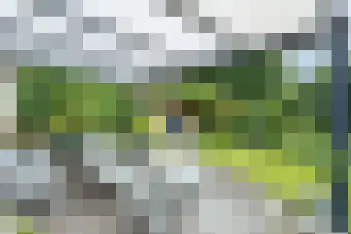 Robijndreef 17 Emmen thumbnail 27