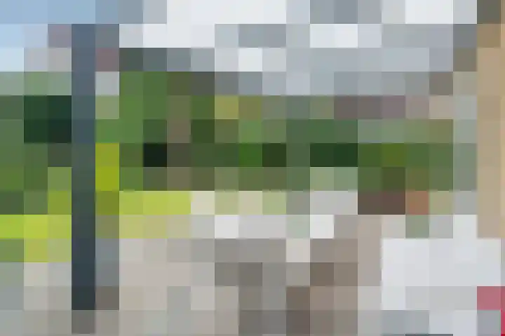 Robijndreef 17 Emmen thumbnail 28