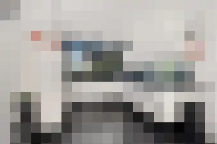 Robijndreef 37 Emmen thumbnail 13