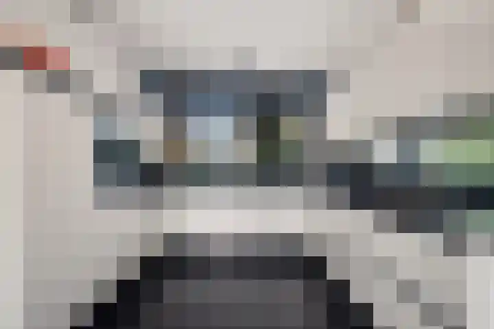 Robijndreef 37 Emmen thumbnail 14
