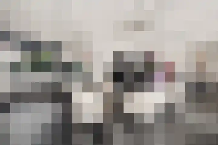 Robijndreef 37 Emmen thumbnail 20