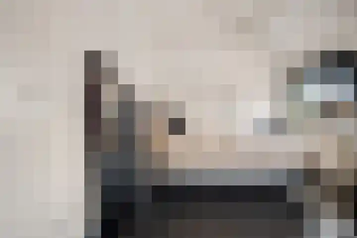 Robijndreef 37 Emmen thumbnail 25