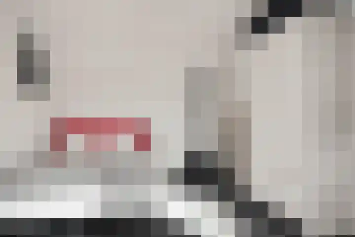 Robijndreef 37 Emmen thumbnail 30