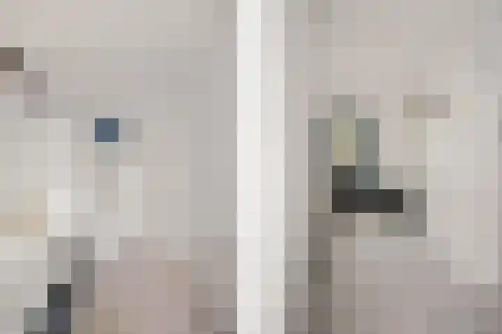 Robijndreef 37 Emmen thumbnail 33