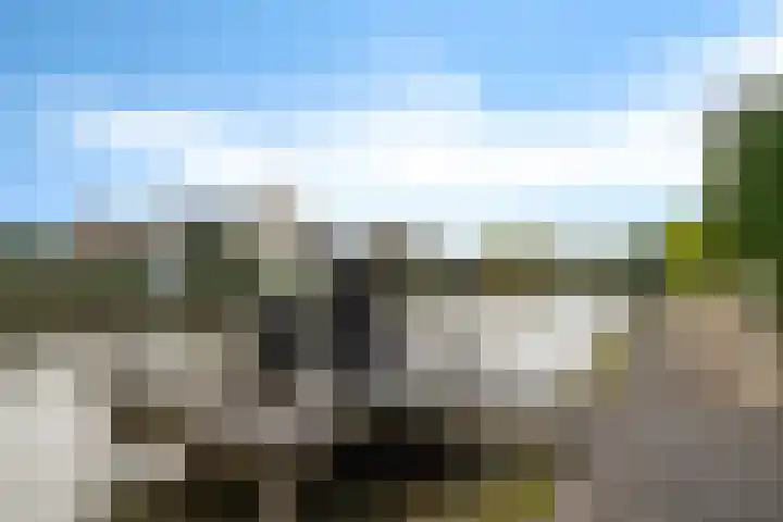 Robijndreef 37 Emmen thumbnail 38