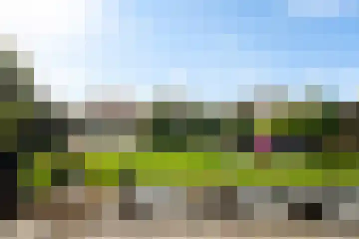 Robijndreef 37 Emmen thumbnail 41