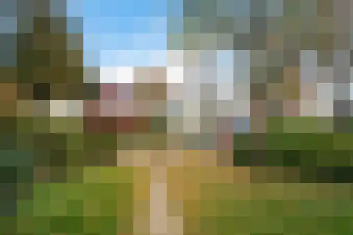 Robijndreef 37 Emmen thumbnail 43