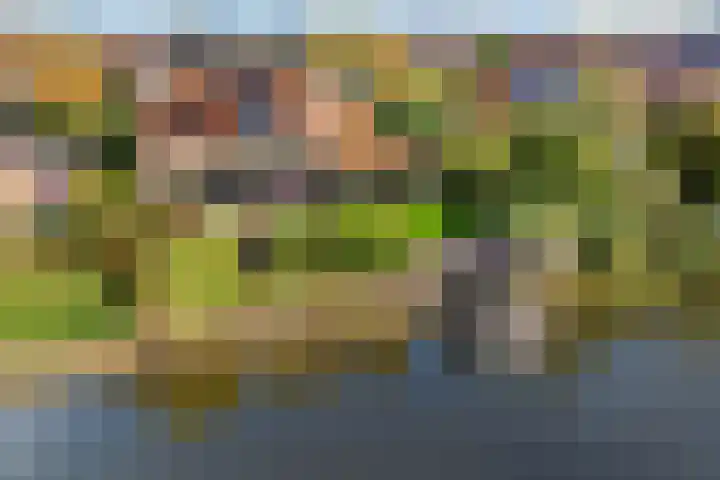 Robijndreef 37 Emmen thumbnail 44