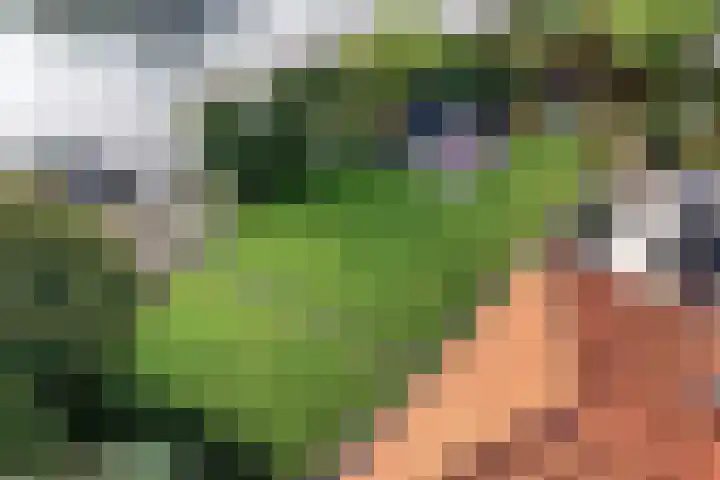 Robijndreef 37 Emmen thumbnail 47