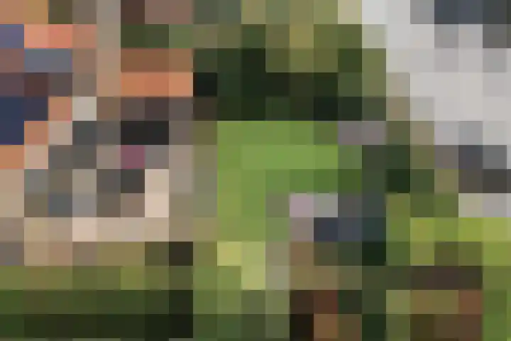 Robijndreef 37 Emmen thumbnail 50