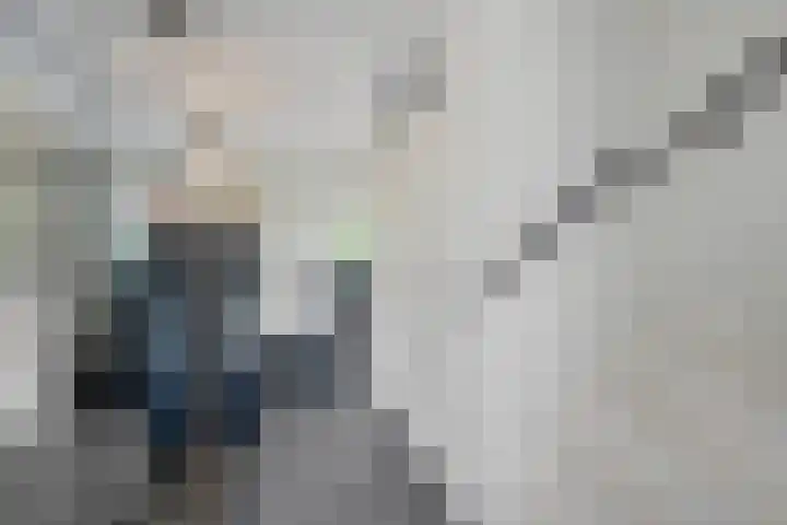 Robijndreef 7 Emmen thumbnail 11
