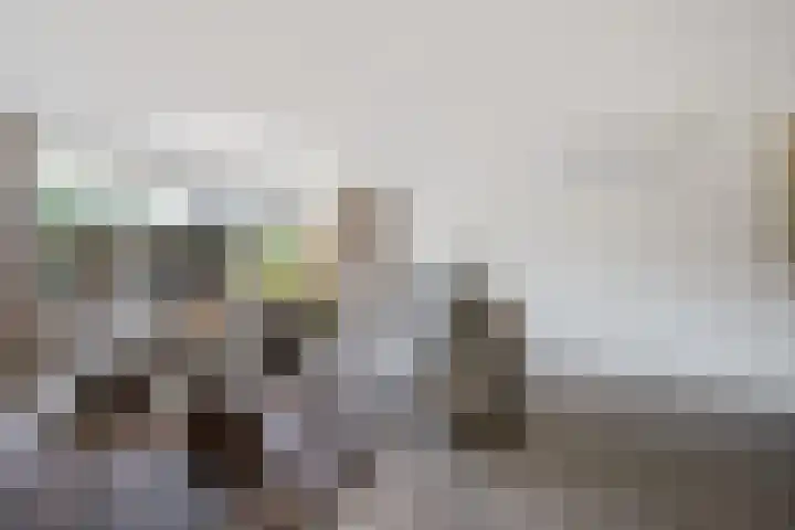 Robijndreef 7 Emmen thumbnail 14