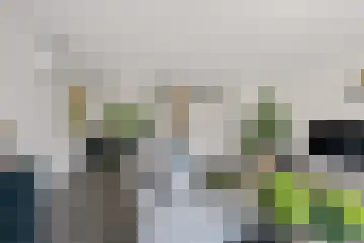 Robijndreef 7 Emmen thumbnail 17