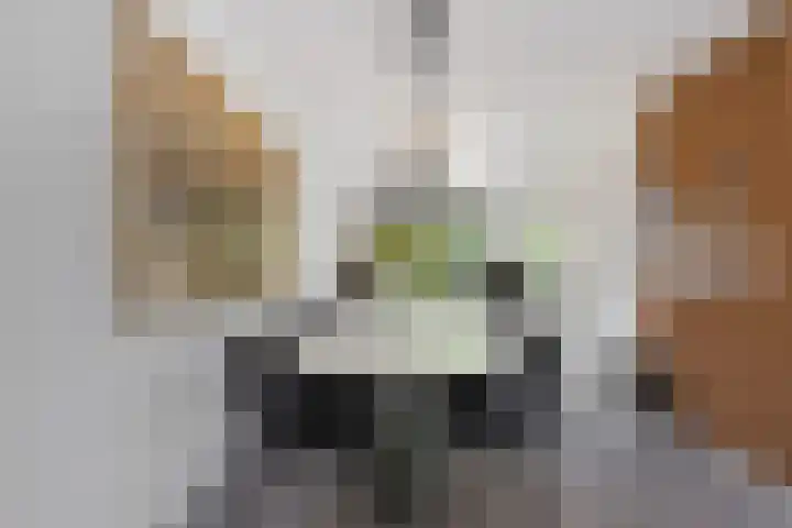 Robijndreef 7 Emmen thumbnail 18