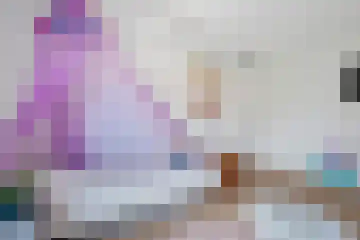 Robijndreef 7 Emmen thumbnail 30