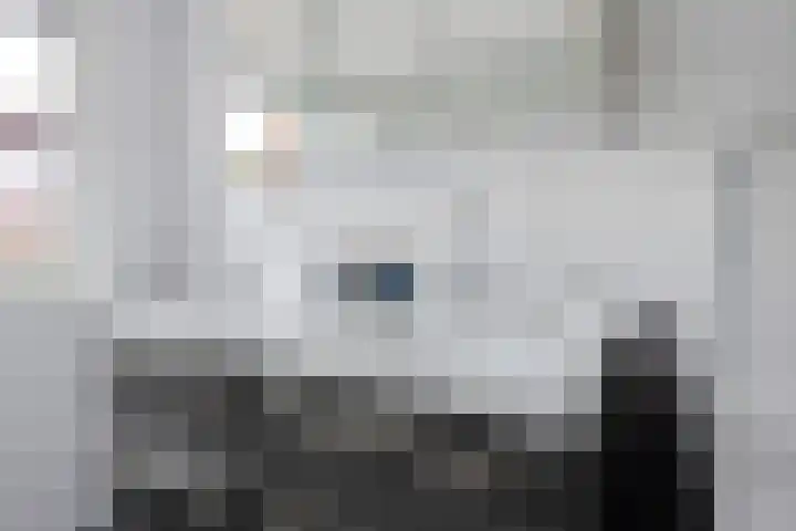 Robijndreef 7 Emmen thumbnail 32