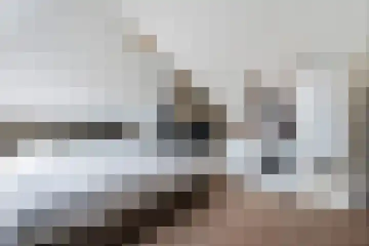 Robijndreef 7 Emmen thumbnail 37