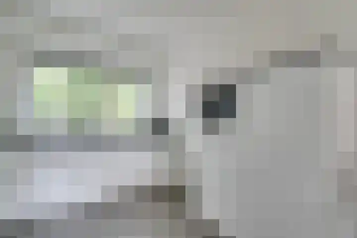 Robijndrift 10 Nieuwegein thumbnail 11